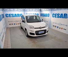 FIAT New Panda 1.0 Hybrid 70cv 5 posti