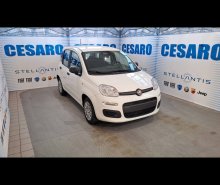 FIAT Panda 1.0 firefly hybrid Icon s&s 70cv 5p.ti
