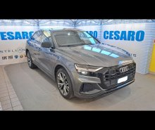AUDI Q8 50 3.0 tdi mhev Sport quattro tiptronic