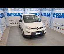 FIAT New Panda 1.0 firefly hybrid s&s 70cv 5p.ti