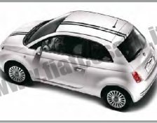 PORTASCI Fiat 500 per Un Paio di Sci Barre Posteriori Originali 71805708