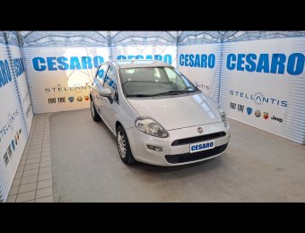 FIAT Punto 5p 1.3 mjt Street s&s 95cv