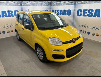 FIAT Pandina 1.0 firefly hybrid Icon s&s 65cv