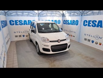FIAT Panda 1.0 firefly hybrid Icon s&s 70cv 5p.ti