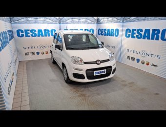 FIAT New Panda 1.0 firefly Hybrid 70cv 5 posti