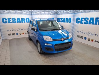 FIAT Pandina 1.0 firefly hybrid Icon s&s 65cv
