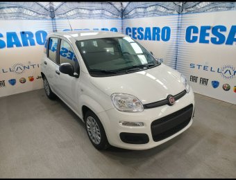 FIAT Pandina 1.0 firefly hybrid Pop s&s 65cv