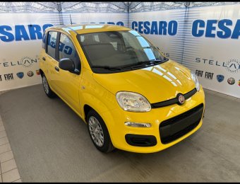FIAT Pandina 1.0 firefly hybrid Icon s&s 65cv 5p.ti