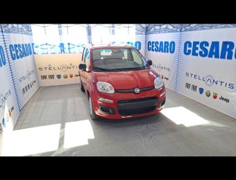 FIAT New Panda 1.0 firefly hybrid s&s 70cv - PACK CITY
