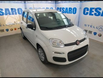 FIAT Panda 1.0 firefly hybrid Icon s&s 70cv 5p.ti