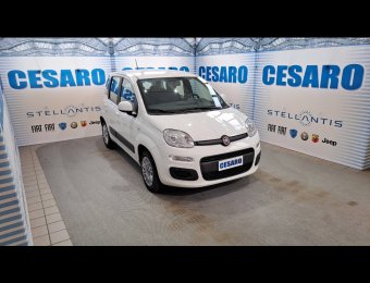 FIAT New Panda 1.2 69cv Easy