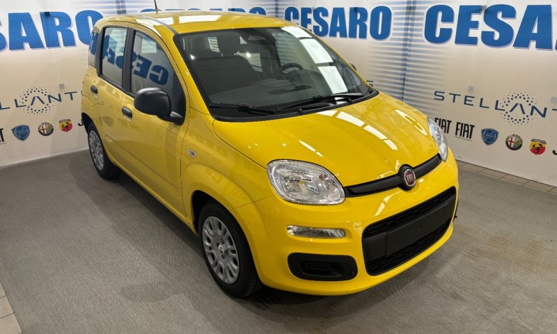 FIAT Pandina 1.0 firefly hybrid Icon s&s 65cv