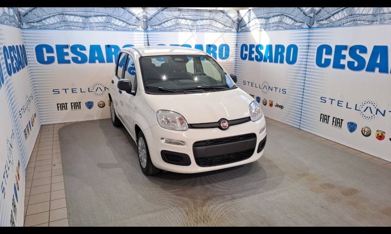 FIAT Panda 1.0 firefly hybrid Icon s&s 70cv 5p.ti