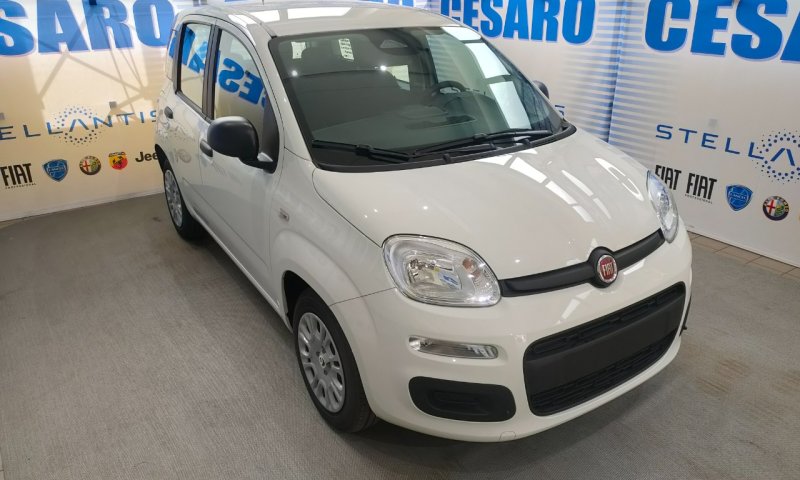 FIAT Panda 1.0 firefly hybrid Icon s&s 70cv 5p.ti